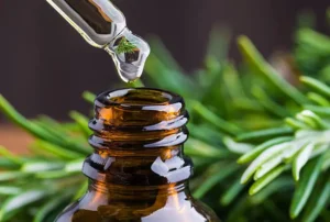 rosemary for hair growth ans scalp health