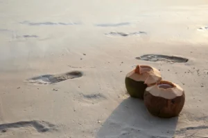 prevent acne with the help of coconut water